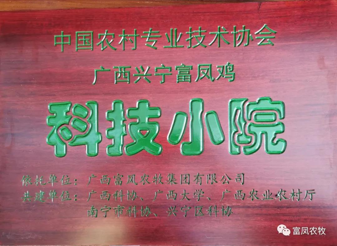 广西大众娱乐-娱乐大众集团